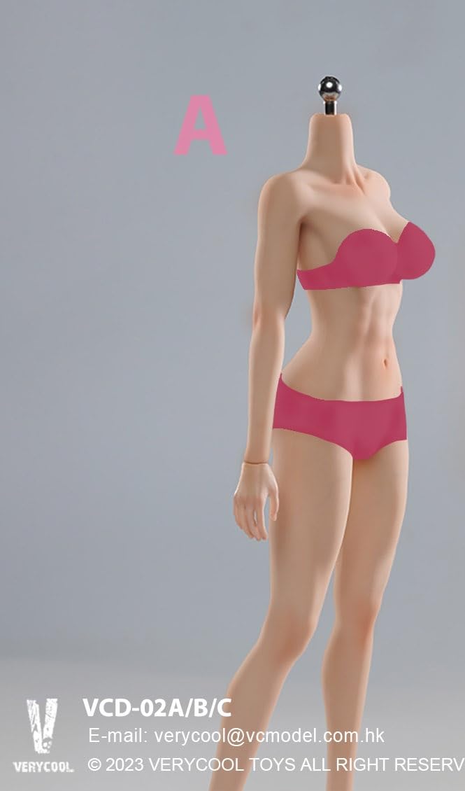 verycool社製 1/6スケール フィギュア素体 2体セット Amazon | [TOYBARJAPAN]1/6スケール アクションフィギュア VERYCOOL