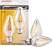 Sylvania F15 DÃ©cor Incandescent Light Bulb, 25W, Amber Iridescent Finish, Medium Base, 120V, 2 Pack