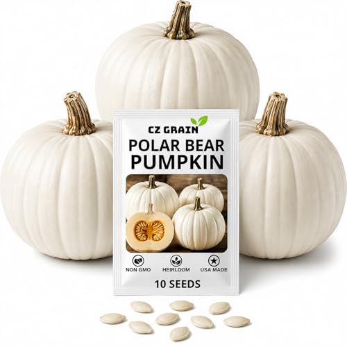 Polar Bear Pumpkin Seeds for Planting (10 Seeds) &ndash; Rare Giant White Pumpkin Variety &ndash; Grow...