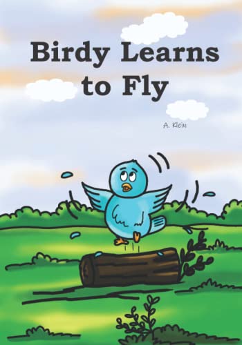 Birdy Learns to Fly