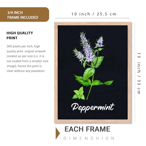 Image of kotart Kitchen Herbs Digital Painting for Dinning Room Kitchen Wall Decoration - Minimal Cooking Herbs Wall Art Prints forRestaurant Wall Room Decor (10X13 INCH, E)