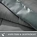 Madison Park Windom Down Alternative Blanket, Premium 3M Scotchgard Moisture Wicking Treatment, Lightweight and Soft Bed Cover For All Season, Satin Trim, Charcoal King