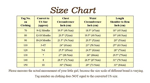 Dressy Daisy Baby Girls Wedding Flower Girl Pageant Dress Party Tulle Skirt For Special Occasion Size 12-18 Months Yellow #TOP6