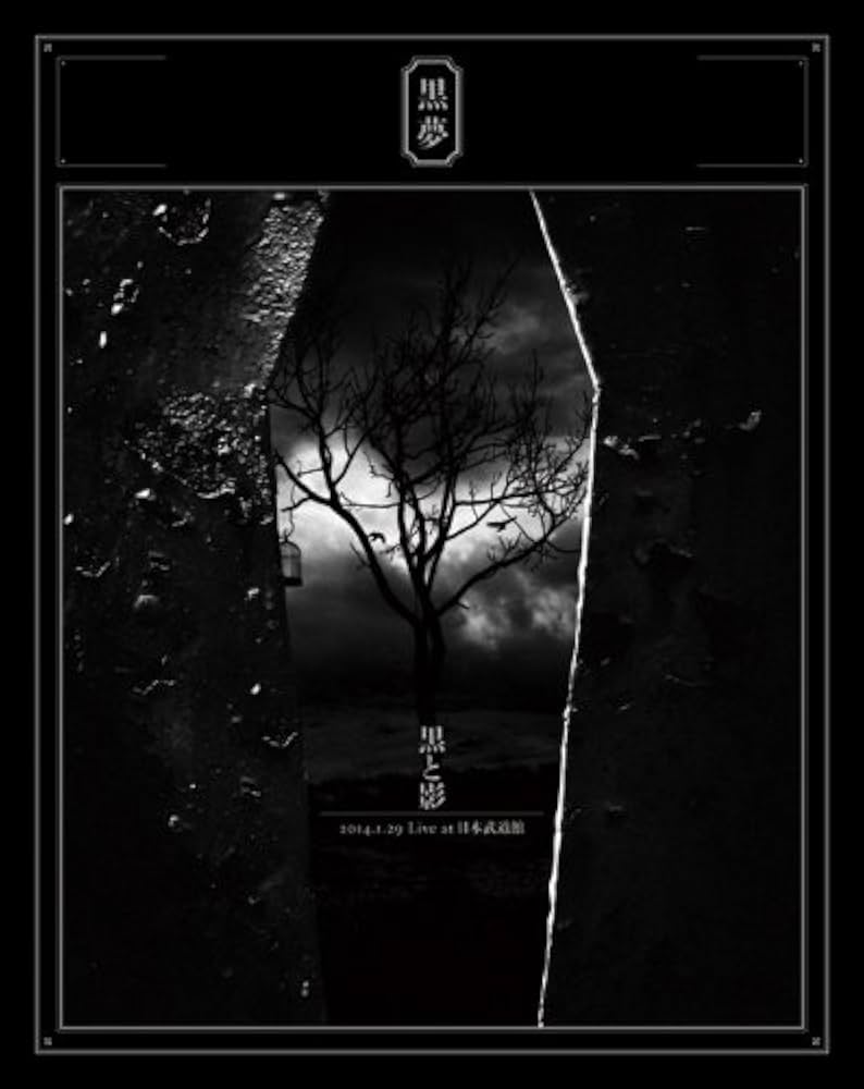 Amazon.co.jp: 黒と影 2014.1.29 Live at 日本武道館 [Blu-ray