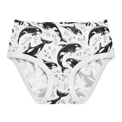 Ocean Killer Whale Black and White Toddler Girls's Underwear 2T 2303182