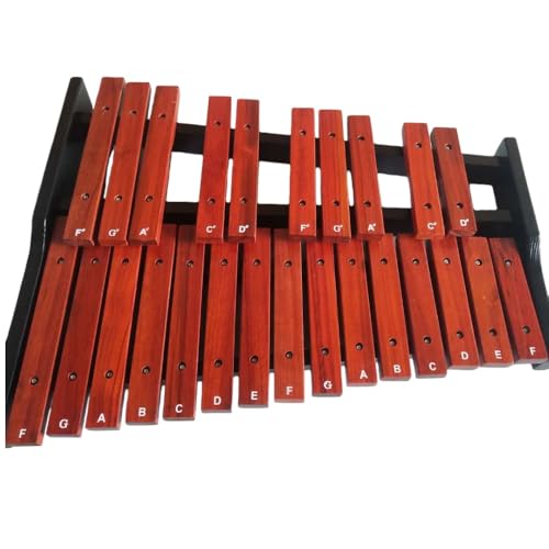 JNNJ؋ 25 RpNg؋ ObPVs[ p[JbV yߋ ׂ^\ Ŋy yߋ tp Mtg ؐ y  ^ѕ֗ (25̃}zKj[sAm+ sAmobO)