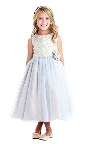 iGirlDress Vintage Jacquard Tulle Junior Bridesmaid Flower Girl Dress (6mos-12)3