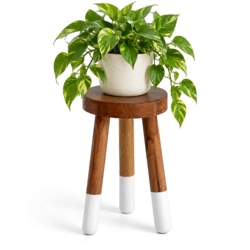 JOLLYMER Teak Wood 9' Round Plant Stand |Dip Dyed Plant Stand |Accent Stool |Milking Stool |Bath Stool |Small Side Table (16' Tall White)