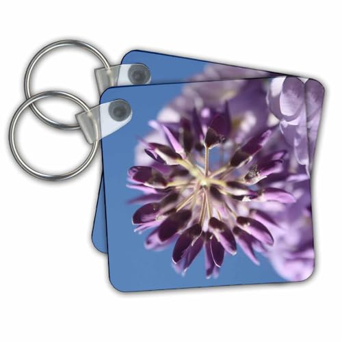 3dRose Key Chains Wisteria Floribunda Purple And Lilac Flower Buds (kc-361701-3)