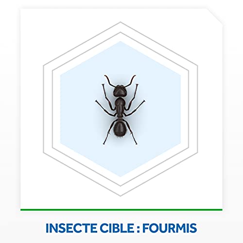 Anti-Fourmis Raid Boîte à Appât Extérieur Intérieur Solution Fourmilière 4 U - 2