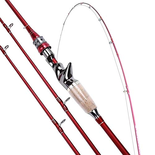 Canne à pêche de voyage 4 sections portable 2,1m pour vos randos carpe - 5