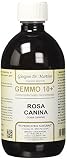 Dr. Giorgini Integratore Alimentare, Rosa Canina Gemmoderivato Concentrato Liquido Analcoolico - 500 ml