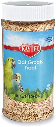 Kaytee Oat Groats Treat Jar- All Pet Birds 11 oz
