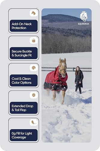 Image of Equinavia Norse Horse Blanket Waterproof, Dry, Lightweight Turnout Blanket | Breathable Turnout Horse Sheets for Real Horses for Wet Mild Weather Use, Durable, No Fill Rain Protection, Outdoor Coverage