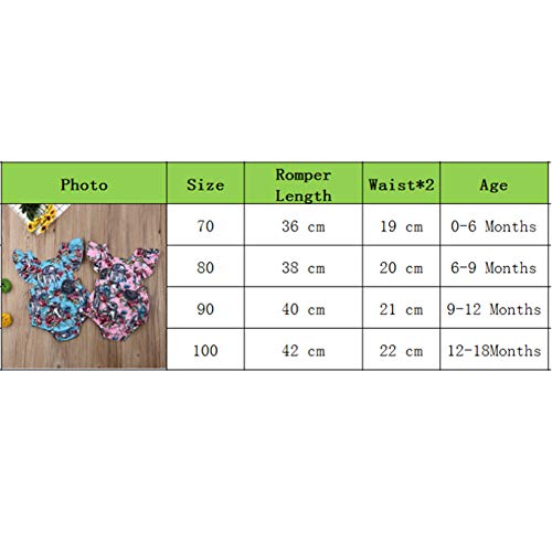 Baby Girl Dress Newborn Romper Floral Ruffle Princess Tutu Dress Summer (Pink Romper, 9_Months) #TOP6