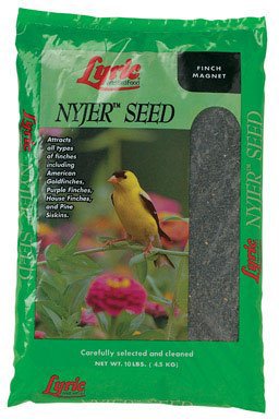 Seed