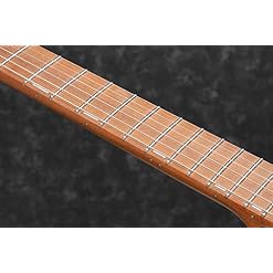 Ibanez EH10-TGM – Guitare électrique Erick Hansel Signature – Transparent Green Matte (+housse) - Les Beatles, Paul McCartney, John Lennon, RIngo Starr, George Harrison Ibanez EH10-TGM - Guitare électrique Erick Hansel Signature - Transparent Green Matte (+housse) – Image 4