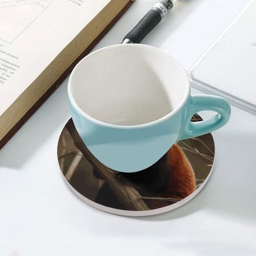 Dessous de verre céramique liège panda rouge protège table boissons chaudes - 6