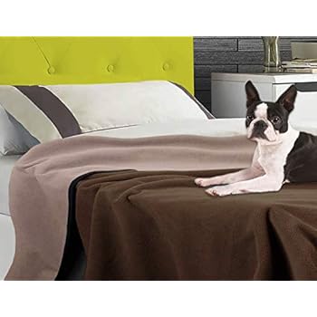 rip proof dog blanket