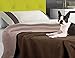 100% Leak Proof, Waterproof (See Video) Totally Pee Proof, 3 layer Blanket | Baby, Adults, Pets, Dogs & Cats Love the Cozy Softness | Reversible Large | Indoor Outdoor Camping Sports, Premium Quality