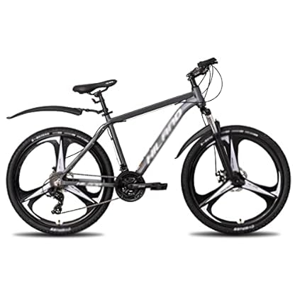 YQCXG Hybridfahrrad 26 Zoll 21-Gang-Federgabel aus Aluminiumlegierung, Fahrrad mit Doppelscheibenbremse, Mountainbike-Schutzbleche (grau)