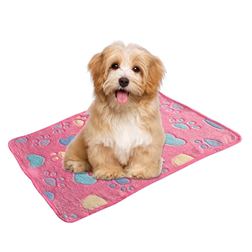 Fayemint 3 Pezzi Coperta Cane Lavabile, Coperta