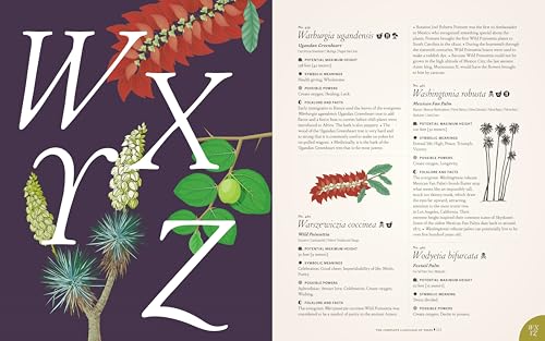 Image of The Complete Language of Trees - Pocket Edition: A Definitive and Illustrated History