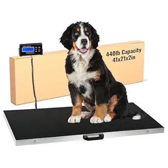 Houseables Dog Scale, Pet Scale, For Large Breed, 440 LB, For Livestock, Dog Weight, Animal, Veterinary, Sheep, Goat, Pig, Shipping, Packages, Weighing, Puppy, Vet, Heavy Duty, Digital, 41x21 Platform