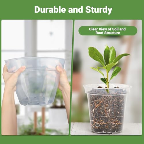 GREANER Clear Nursery Pots with Drainage, 6/7/8 Inch Plastic Plant Pot with 20 Plant Labels, Transparent(Pack of 15) by GREANER - Image 3