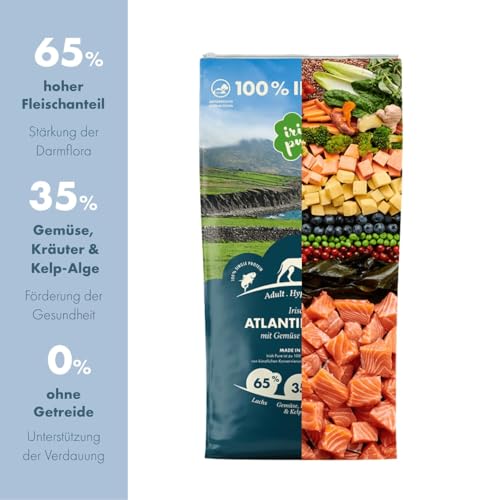 Irish Pure Hypoallergenes Trockenfutter Adult | 12kg | Atlantik-Lachs mit Kelp-Alge & Gemüse | Hoher Fleischanteil | Getreidefrei | Sensitiv | Hundetrockenfutter | Für alle Rassen