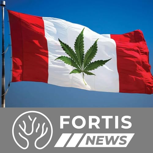 Canada&rsquo;s Drug Experiment Kills & NYT Admits the Obvious