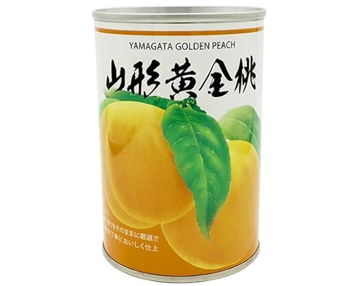 R` / 425g xVX YʋlErl