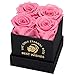 MestectPET Rosenbox mit 4 Infinity Rosen, Rosa Ewige Rose Konservierte Blumen Geschenkbox, Valentinstag Muttertag Geburtstag Hochzeitstag Geschenke Für Mutter Freundin Ehefrau Oma Frauen