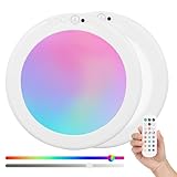 FRIDEKO HOME Rechargeable Ceiling Light with Remote - Battery Operated Light with Color Changing, Magnetic Closet Light Motion Sensor Ceiling Lights for Shower Stairs Shed 2 Pack (2 Pack)