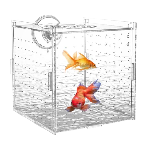 Boîte D'isolation pour Aquarium,Boîte de Reproduction pour Poissons avec Ventouses - Séparateur Stable Nurserie Écloserie pour Scalaires Guppys Bettas...