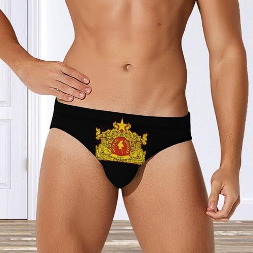 State Seal of Myanmar Men's Swim Brief Sexy Bikini Swimwear Swimsuit Trunks Bathing Suits4