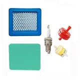 HOQO Air Filter for Ryobi 6.5 hp Lawn mower 96116000200 W/B riggs & S tratton 6.5hp