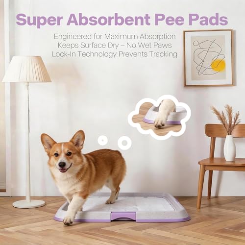 Image of Pawise Dog Pee Pad Holder for Puppy, Puppy Pad Holder Tray, Pet Training Pee Pad, Indoor Potty Tray for Senior Dogs, Dog Toilet for Newborn Puppies, 23.5 inch x 23.5 inch，Purple