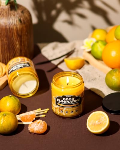 Image of AOOVOO Citrus & Lemon 2 Pack Odor Eliminating Highly Fragranced Candle - Eliminates 95% of Pet, Smoke, Food and Other Smells Quickly, Non Toxic Air Freshing Soy Candle, 18 oz Up to 100 Hours Burn time