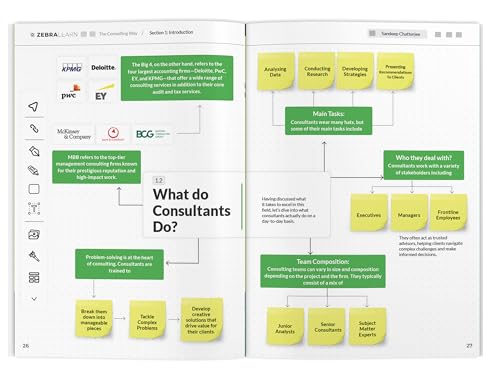 Image of The Consulting Way - by Sandeep Chatterjee | Concise Guide for Seasoned Professionals to Master Consulting with 9 Frameworks | Zebra Learn Books