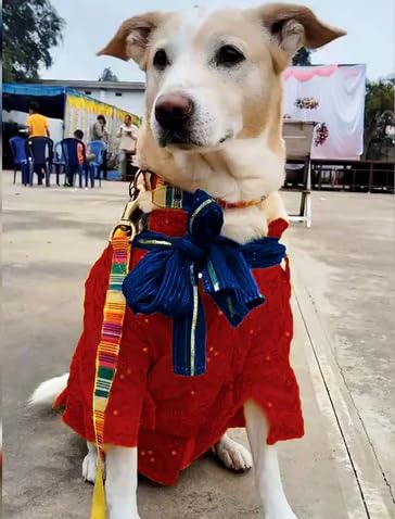 Wrap In Fur Dog Kurta with Dupatta, Dog Wedding Outfit, Dog Festival Outfit, Dog Ethenic Wear, Dog Occasion wear. (XL, Red) (B0CS61249F) Amazon Price History, Amazon Price Tracker