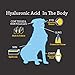 Hyalogic HyaFlex Hyaluronic Acid for Dogs - Premium Pet Supplies for Joint, Skin, Eye, and Coat Maintenance - Natural Joint Supplement for Dogs to Enhance Mobility (30ml)