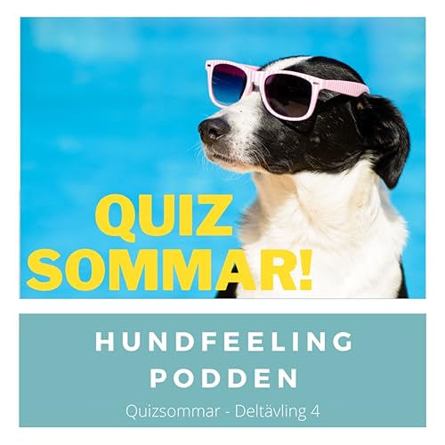 Quizsommar - Delt&auml;vling 4!