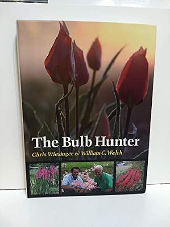 The Bulb Hunter book cover