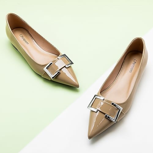 Image of C.Paravano Women Flats | Pointed Toe Shoes | Ballet Flats | Work Daily Wear