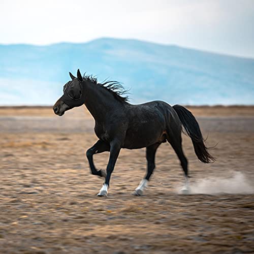 Máscara de mosca de cavalo – Máscara elástica de mosca de cavalo | Máscara respirável para moscas de