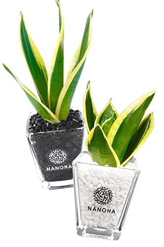 TXxA TZxA 2Zbg ygȂϗtA { ~j _z   CeA ͔| nChJ`[ NANOHA