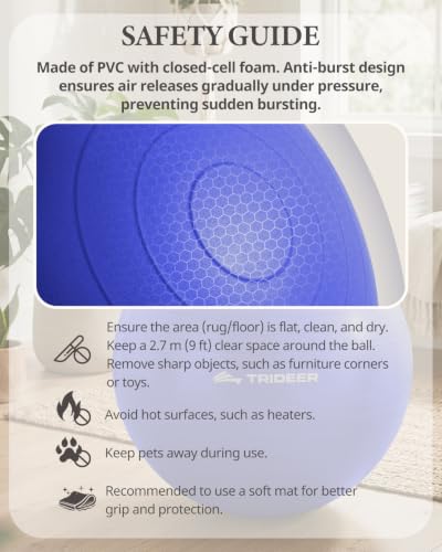 Image of Trideer Yoga Ball for Exercise, Pilates, Core & Balance Training, Stability Ball for Pregnancy & Birthing Prep, Physical Therapy, Daily Stretching, Office Chair for Active Sitting, Quick Pump Included