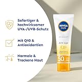 Vorschau 1