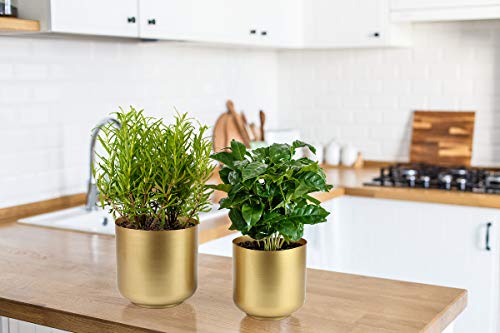 Vixdonos VOX20210325-GOLD Large Gold Planters Metal Aloe Brass-Tone Plant Pots Indoor Decorative Flower Pots thumb #3